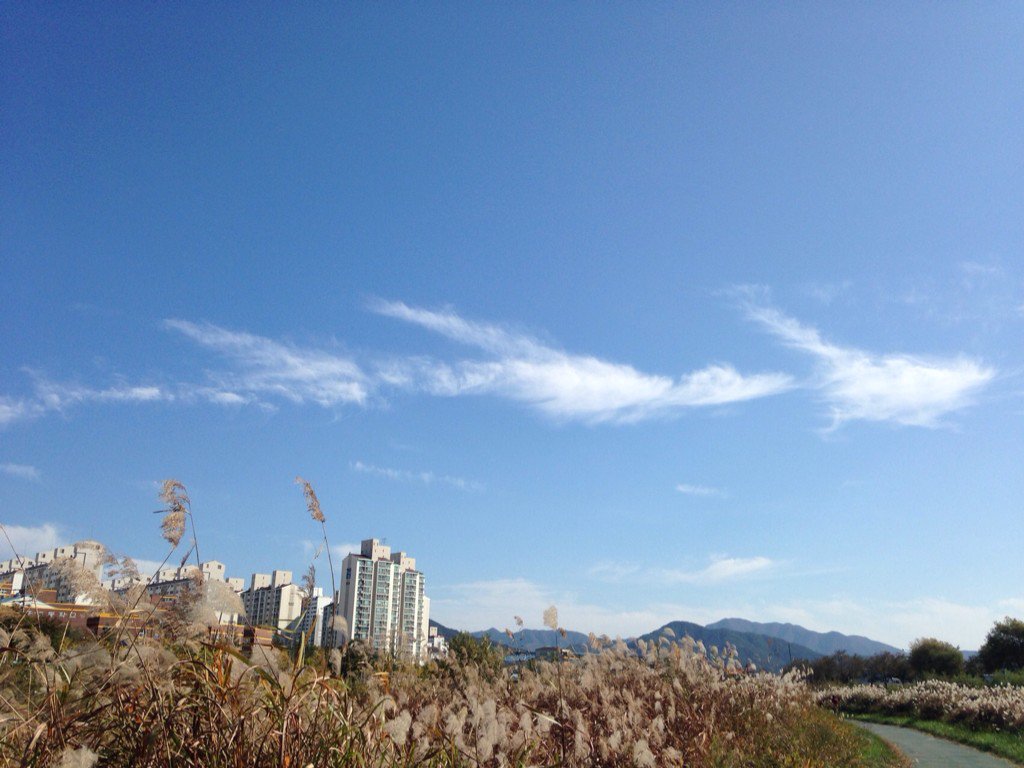 ssang2848's tweet photo. 멀리 떠난 / 언제 떠났나 / 내 마음 // 내 옆에 / 언제 돌아왔나 / 내 마음 //     마음     솔뫼 강쌍호 https://t.co/i4i5uRiB0l