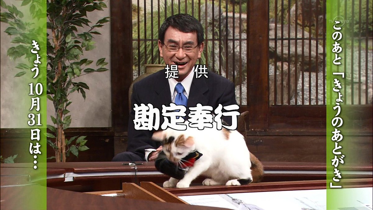 こぶん にゃーにゃ 帽子が邪魔だ 週刊ニュース新書 Tvtokyo T Co 3ocs8zyaq3