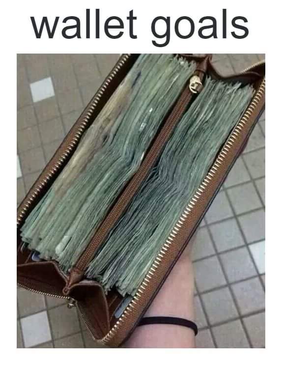 EvolutionationE's tweet image. Wallet goals. :) do you want to earn money? DM me. :)