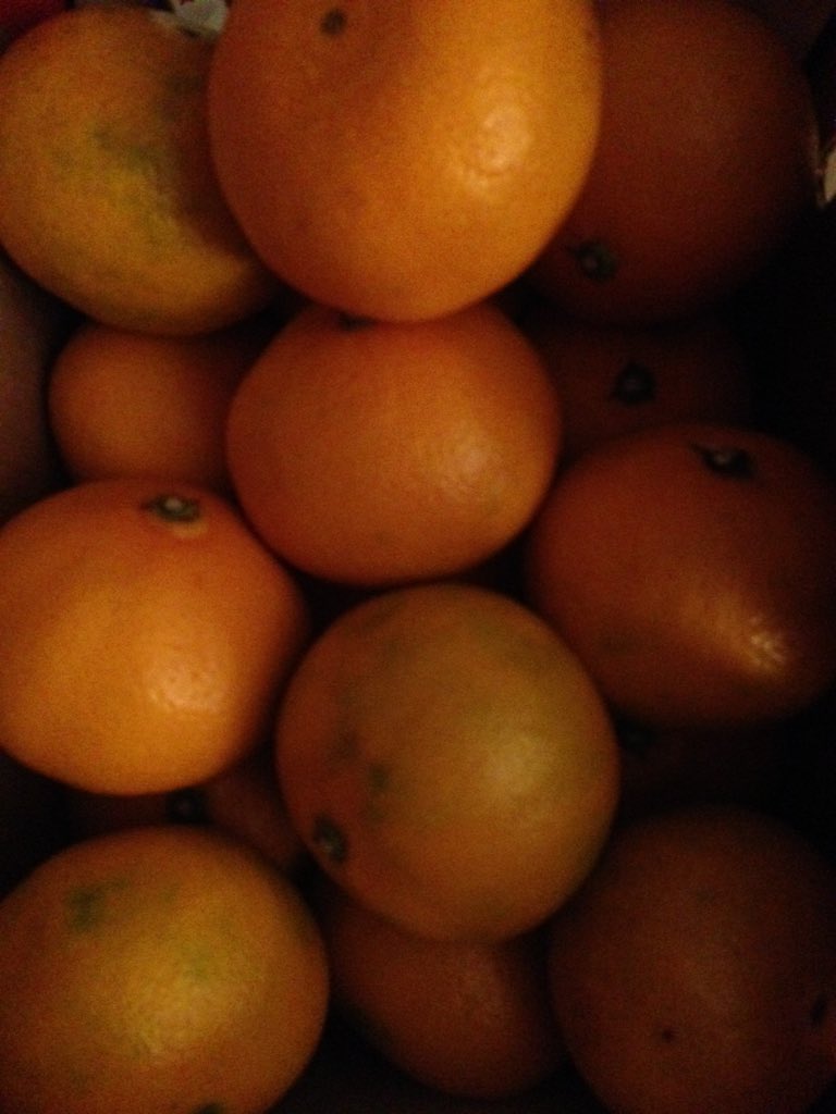 lindakimbo's tweet photo. How many oranges a day keep the doctor away? #coldupdate https://t.co/Ly3zXOXzAw