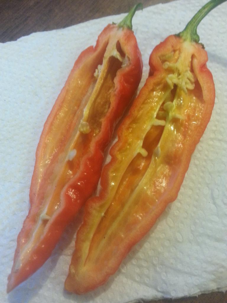 SuperHotsCanada's tweet image. A look inside the #DevilsHorn! #superhots