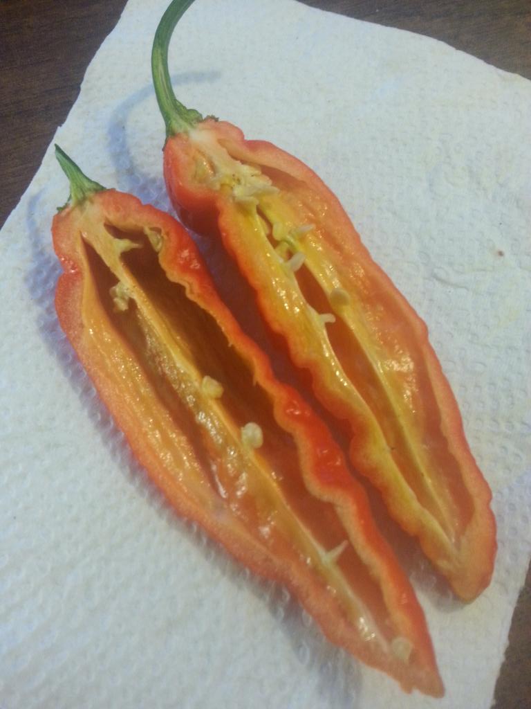 SuperHotsCanada's tweet image. A look inside the #DevilsHorn! #superhots