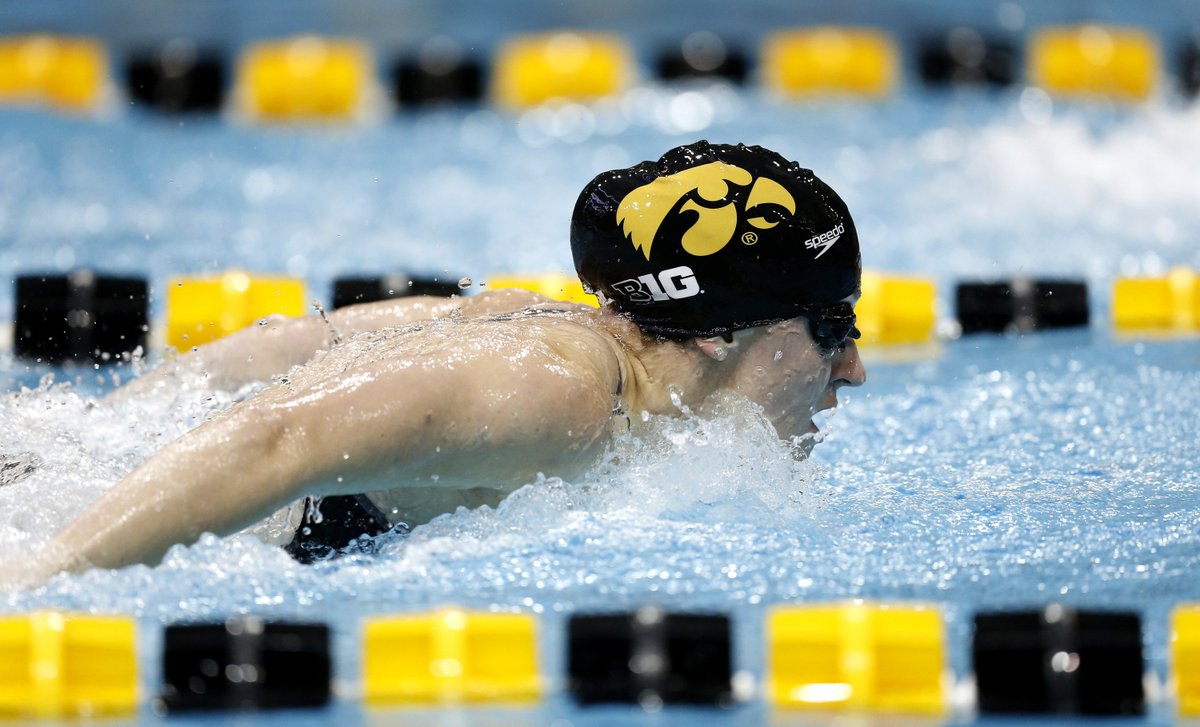 IowaSwimDive's tweet photo. Iowa Drops B1G Dual to No. 17 Minnesota: https://t.co/JMrCgKFfVC  #Hawkeyes https://t.co/lOW8UNnR9B