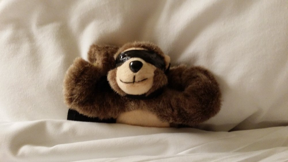 arcanecode's tweet photo. #sqlmonkey all tucked in. Little guy is worn out after #Summit15 #biph #hashtagbiph #BiPowerHour https://t.co/SKIL4WZCof