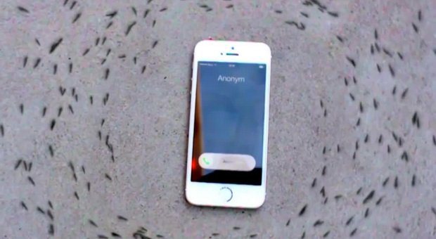 NganjukMedia's tweet photo. Misteri Semut yang Tawaf Kelilingi iPhone https://t.co/2MqvSv5PHW https://t.co/loLedmHHV2