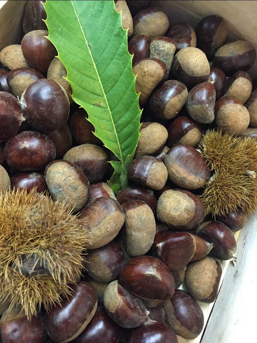 London_FD's tweet image. There are good value Chinese &amp;amp; outstanding boxes of French chestnuts around at the moment. 8 weeks till Christmas!
