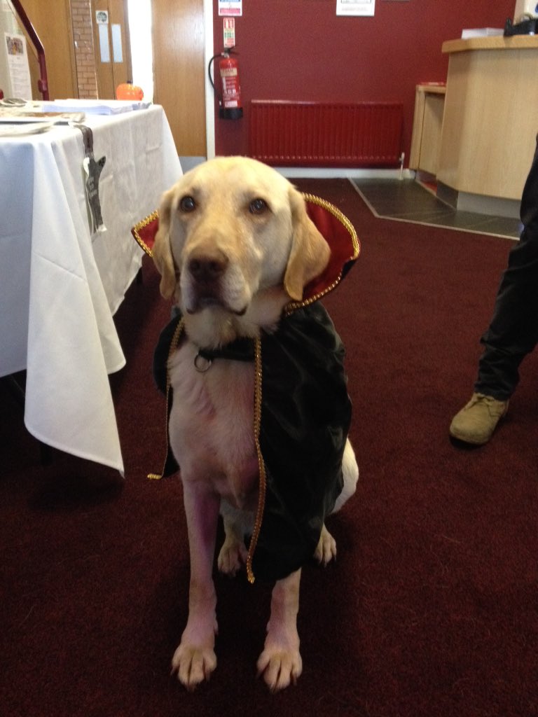 Ready to meet all the superheroes at PCC event Sedgefield race course come and see us #celebratesuperheroes