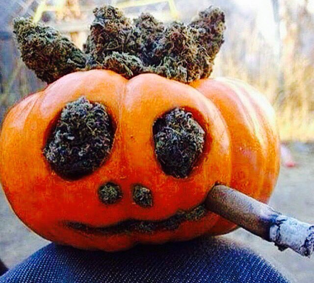 weednsnacks's tweet photo. Happy Halloweed https://t.co/NZ2NAMKZHs