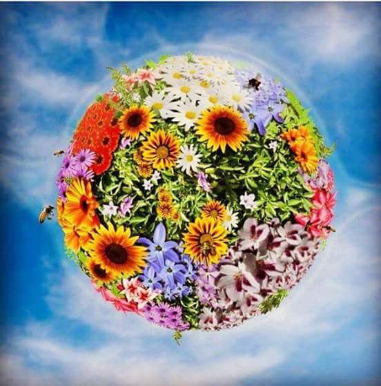 Украшать планету. Планета в цветах. Международный день цветка. Цвети земля. Земной шар в цветах.
