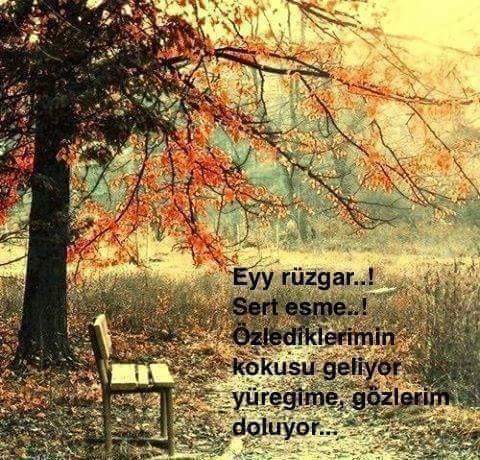_aracli_'s tweet photo. https://t.co/BOQCWJfNzb