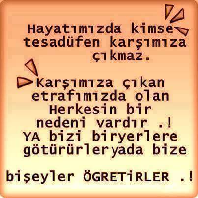 _aracli_'s tweet photo. https://t.co/QxVFpU33pP