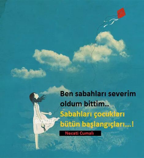 _aracli_'s tweet photo. https://t.co/rZy6kme36O