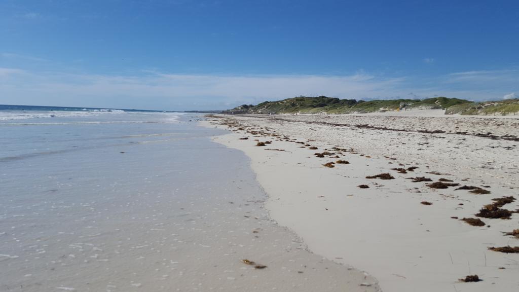 Anything  #ocean  #Walking  and good music can't fix must be something your not ready to let go of #Perth #healthy