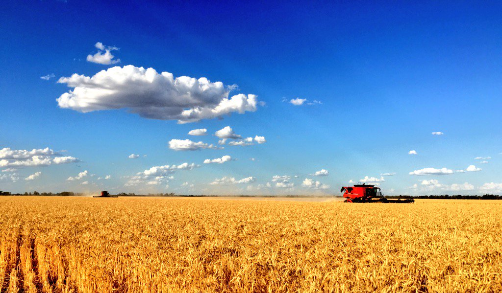 Collier_Samual's tweet photo. #harvest15 Wee Waa, NSW. CASE IH 8230 with 45' 2152 and 8240 with Macdon 45' D65 Draper #iamcaseih #AXIALFLOW https://t.co/hUZMJ6X7Wh