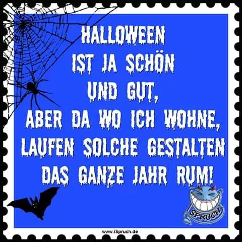 Findi282's tweet image. 