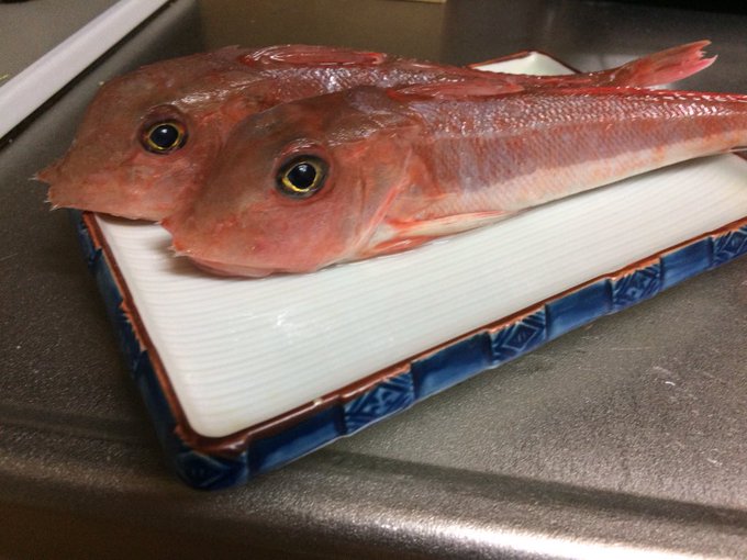 魚クイズ 金の頭でなんと読む ヒントはそのまま読んでみて Sotokoto Online ソトコトオンライン 未来をつくるsdgsマガジン