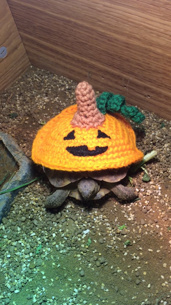 Happy #Halloween
