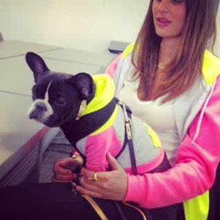 Frenchie_Cute's tweet photo. When mom took me to her uni classes and we matched ๐ #frenchie #frenchbulldog #StudySoHard https://t.co/SniJwL3syj https://t.co/iDqvd6A4P8