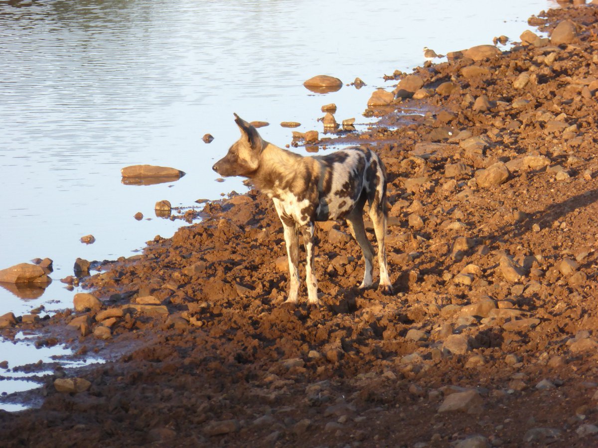 Lizzie Hide tweet media