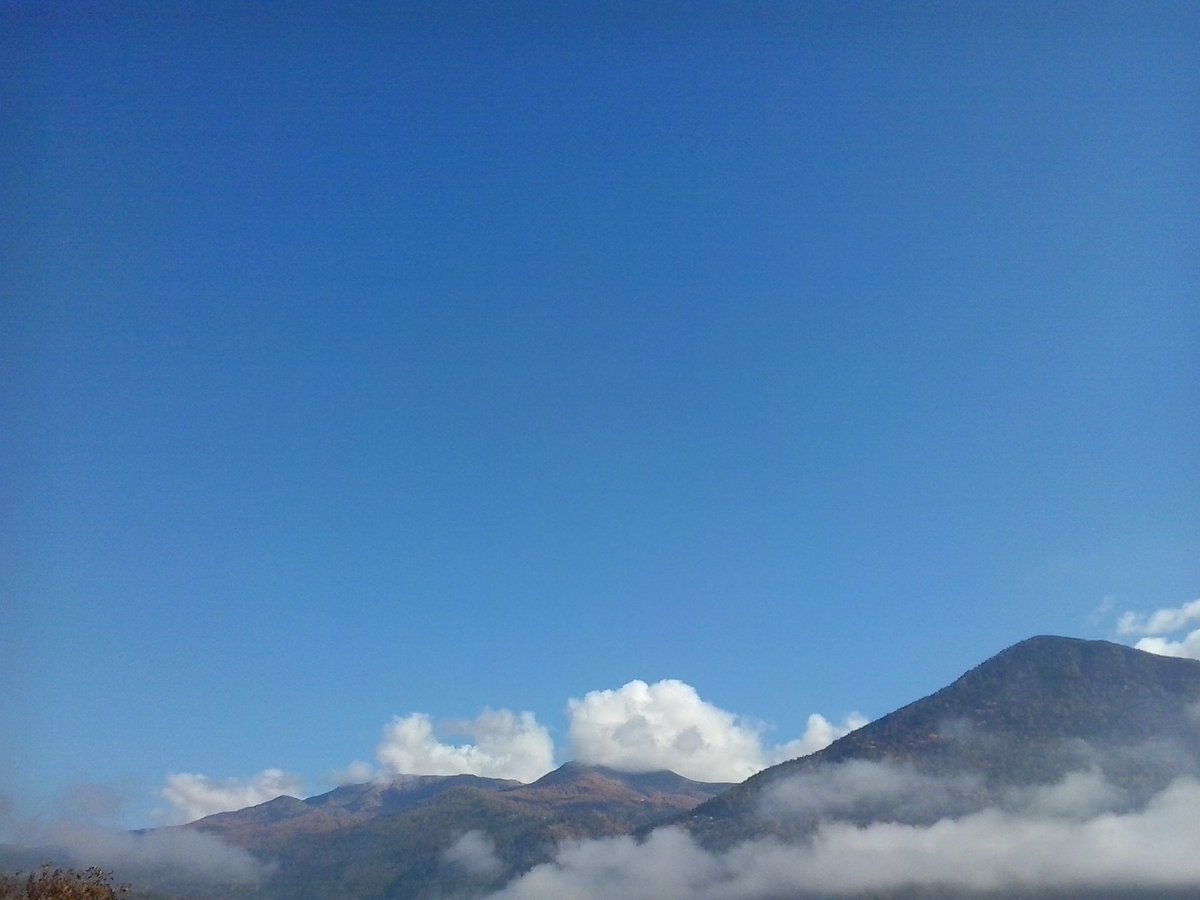 ANGELACONGIU's tweet photo. Oggi così.
#santinumi #Bernstol https://t.co/pUPNRHBp1Y