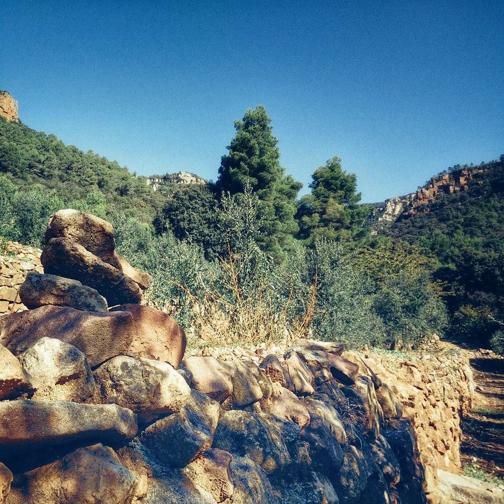 xpaba's tweet photo. Límits

Bon dia món!

#vilaplana #lestosques #lamussara #baixcamp #clikcat  #igersCampdeTg… https://t.co/bSA3CFguUV https://t.co/dO3LbxdYO3