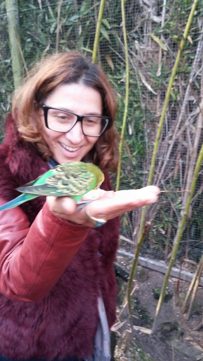 gracieopulanza's tweet photo. God's beautiful creatures #parrakeets #lifestyle #zoo #AnimalsHaveRights https://t.co/Mzh8NMuo0O