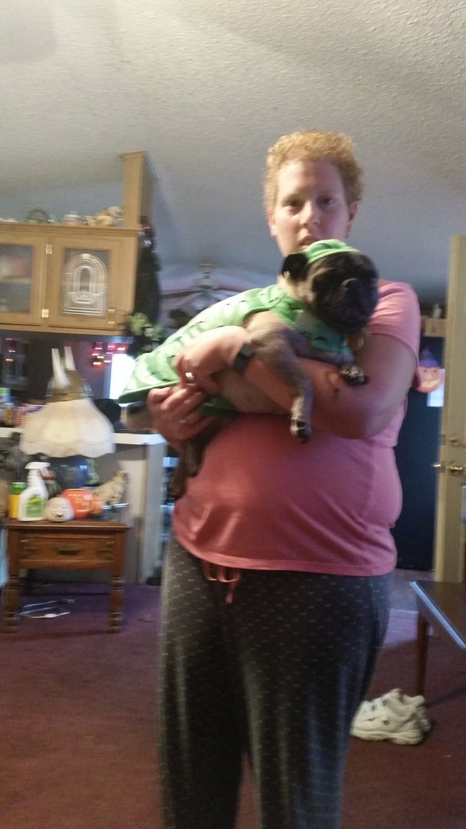 quincypug's tweet photo. Jacks a pickle my daughter is holding him not sure,he likes it https://t.co/Jj0CzELGIK