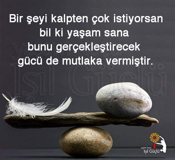 _aracli_'s tweet photo. https://t.co/YUgy8WTkMm