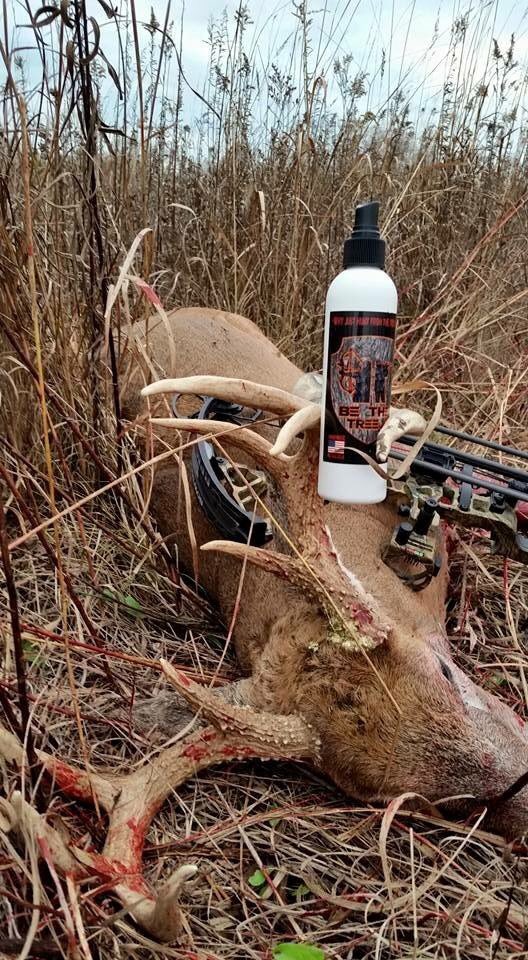 Bethetreellc's tweet image. #teambethetree