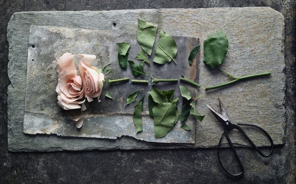 Discover the magical narratives behind your favourite fragrances: fal.cn/KEqp    #ArtofScent