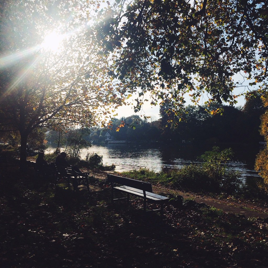 JessVanWyk's tweet photo. The prettiest of walks. https://t.co/fbd5oGohX1