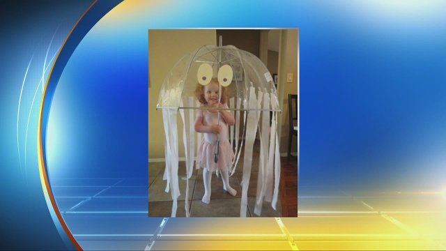 Local 10 has last minute Halloween costume ideas bit.ly/1WnbhKk?utm_me… https://t.co/aMi4ZIg4Ls
