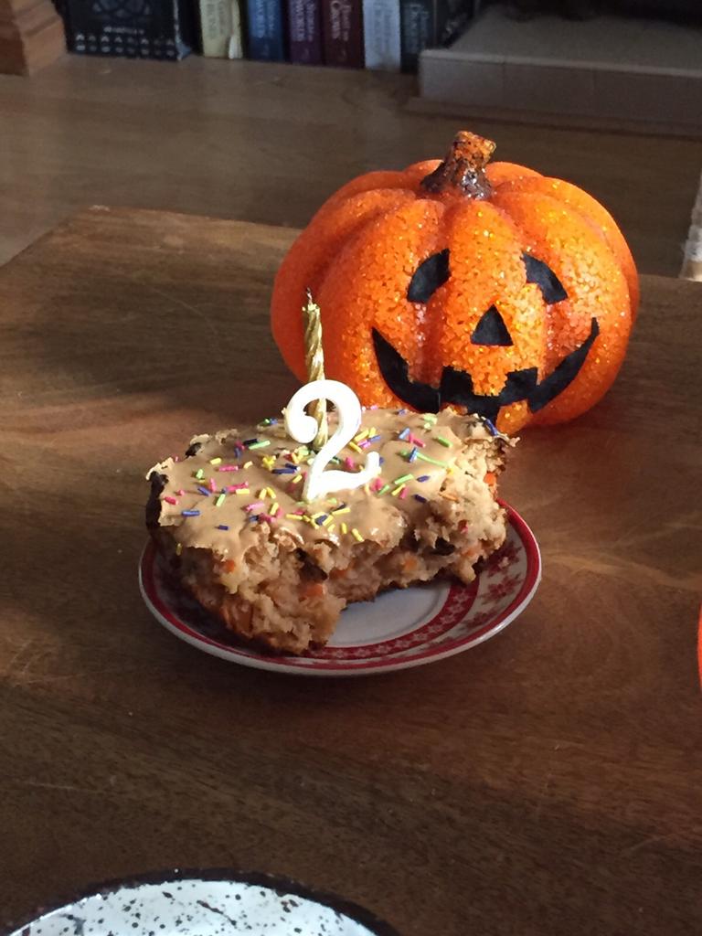 Ju_Xolo's tweet photo. I got home made pup birthday cake! #nomnom #food #birthday #dogs #dogslife #JuJu #puppylove #family https://t.co/vKwC8uA8s4