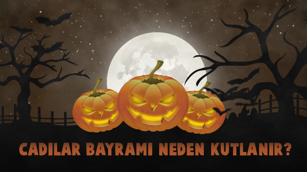 vehasetv's tweet photo. Gündem yoğun... Biraz kafa dağıtmaya ne dersiniz.
https://t.co/a9QQfEWw64 https://t.co/70SbIXx7wh