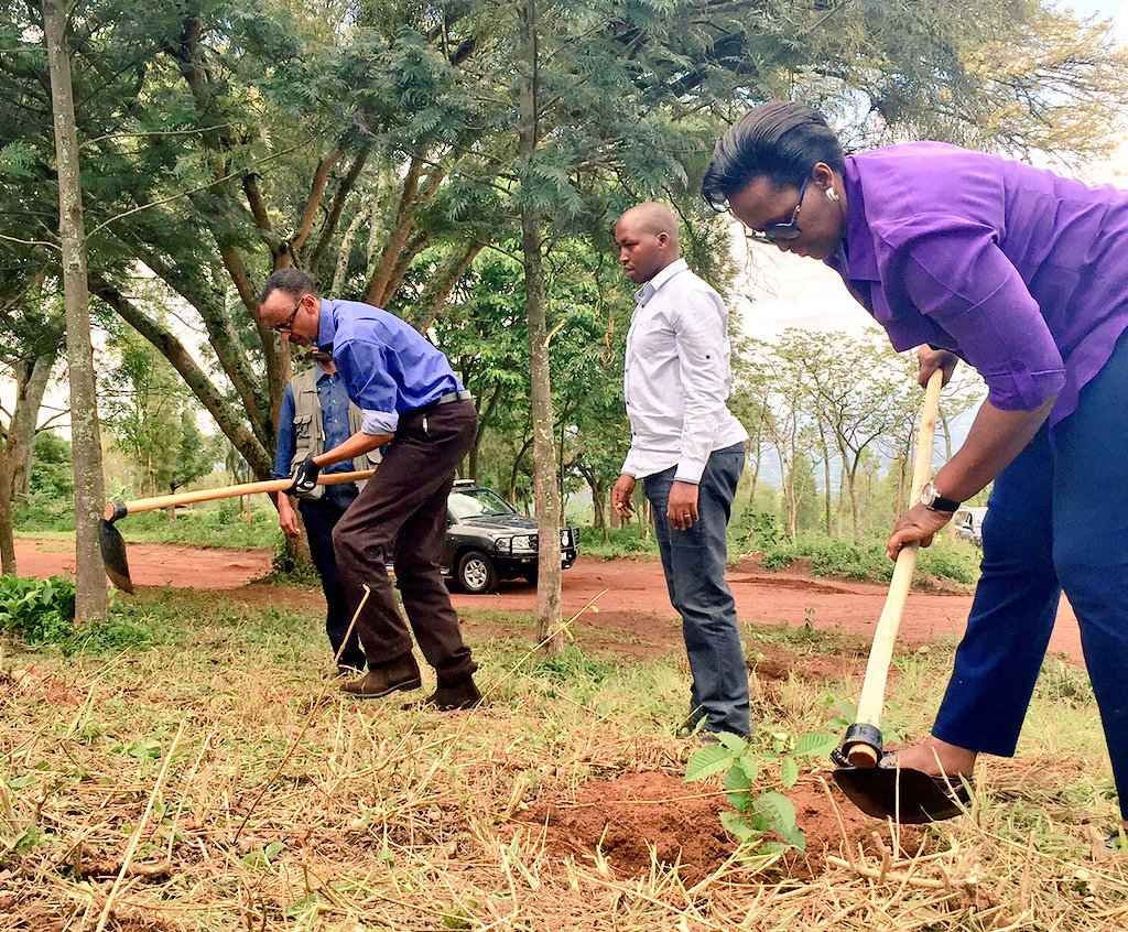 FirstLadyRwanda's tweet photo. The President and First Lady joined #umuganda in Ndera to encourage more tree planting to protect our environment. https://t.co/CBwROO9ca9