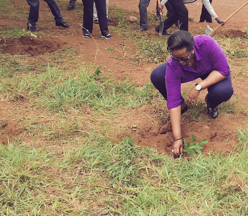 FirstLadyRwanda's tweet photo. The President and First Lady joined #umuganda in Ndera to encourage more tree planting to protect our environment. https://t.co/CBwROO9ca9