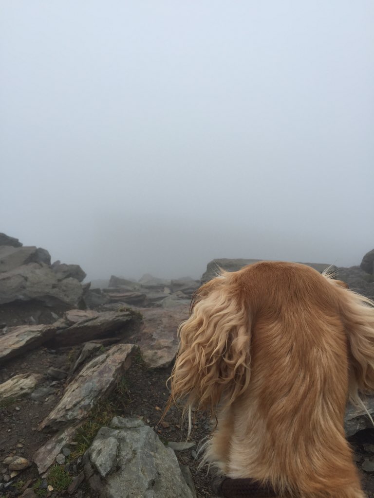 GBTackShop's tweet photo. ...and we are at the top!! Fantastic British view! #bestofbritish #snowdon https://t.co/1TVSQM15Yj