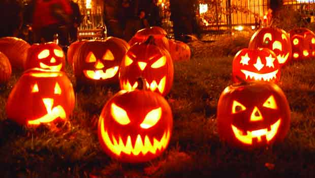 RLC_Rocio's tweet photo. Halloween 🎃👻 https://t.co/OF96dxGqeV