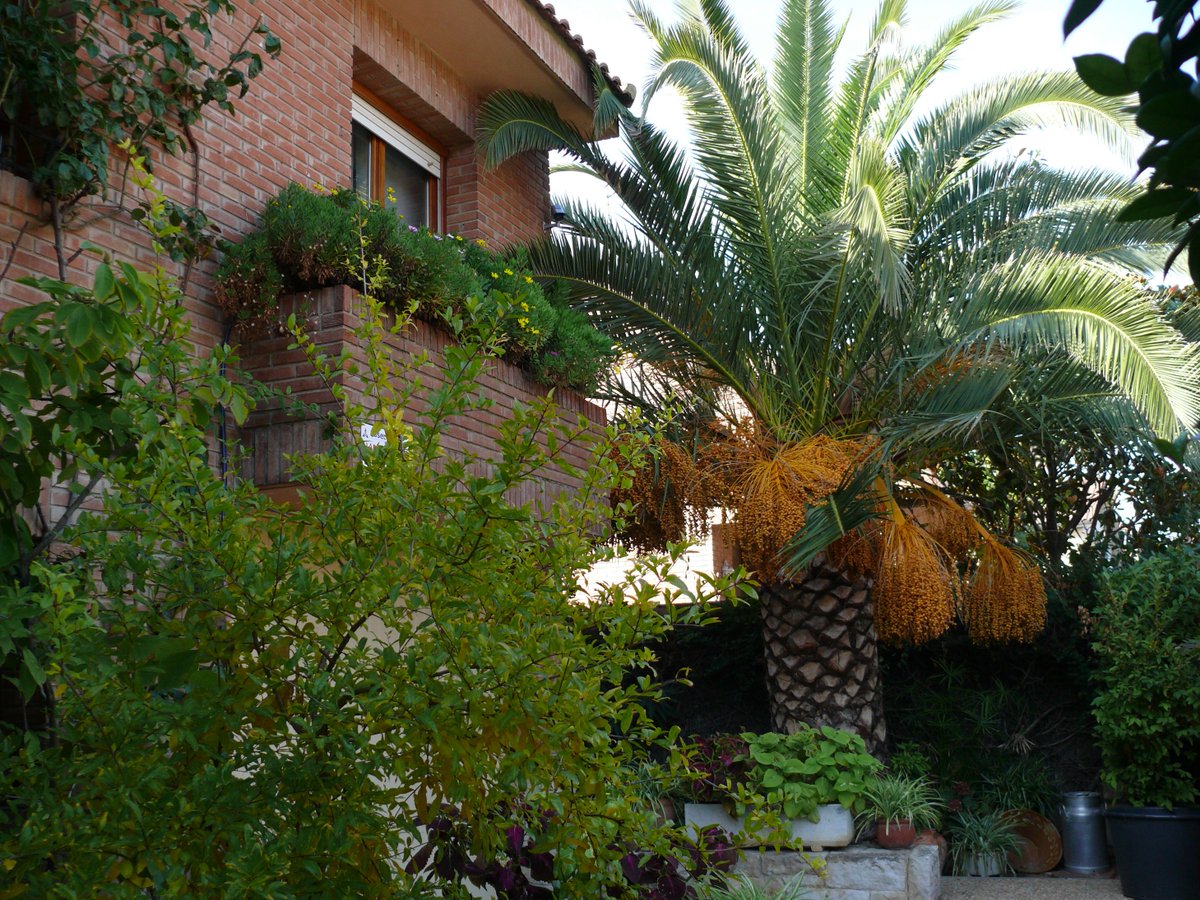 SupercasaEs's tweet photo. Aquí os dejamos un bonito chalet en venta. Echadle un vistazo. Buenos días.
https://t.co/n8VDMrkbDL https://t.co/H8igZKDCHy