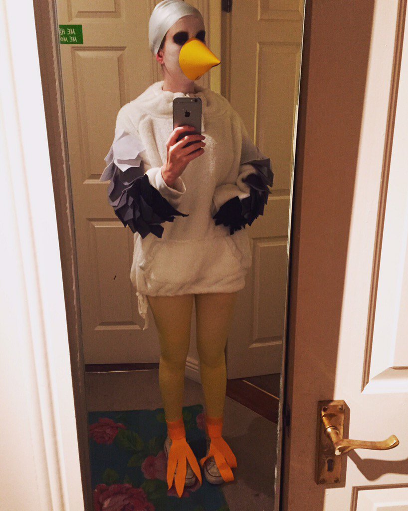 RebShek's tweet photo. My sister dressed up as a seagull for #Halloween 😂🎃 @DublinSeagulls @dailyedge @spin1038 https://t.co/e3U1pJBMZu
