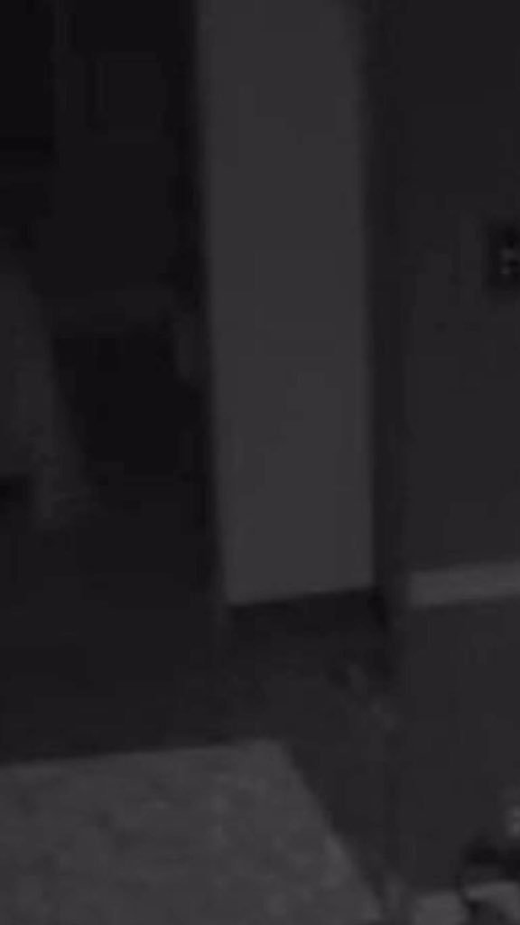 missy_carr's tweet photo. @gumball110 I tried lightning the photo a bit. It looks almost like it's wearing a white old timey nightgown https://t.co/fneaShLqwS