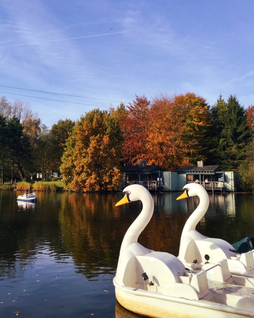 Serena Verbon tweet media