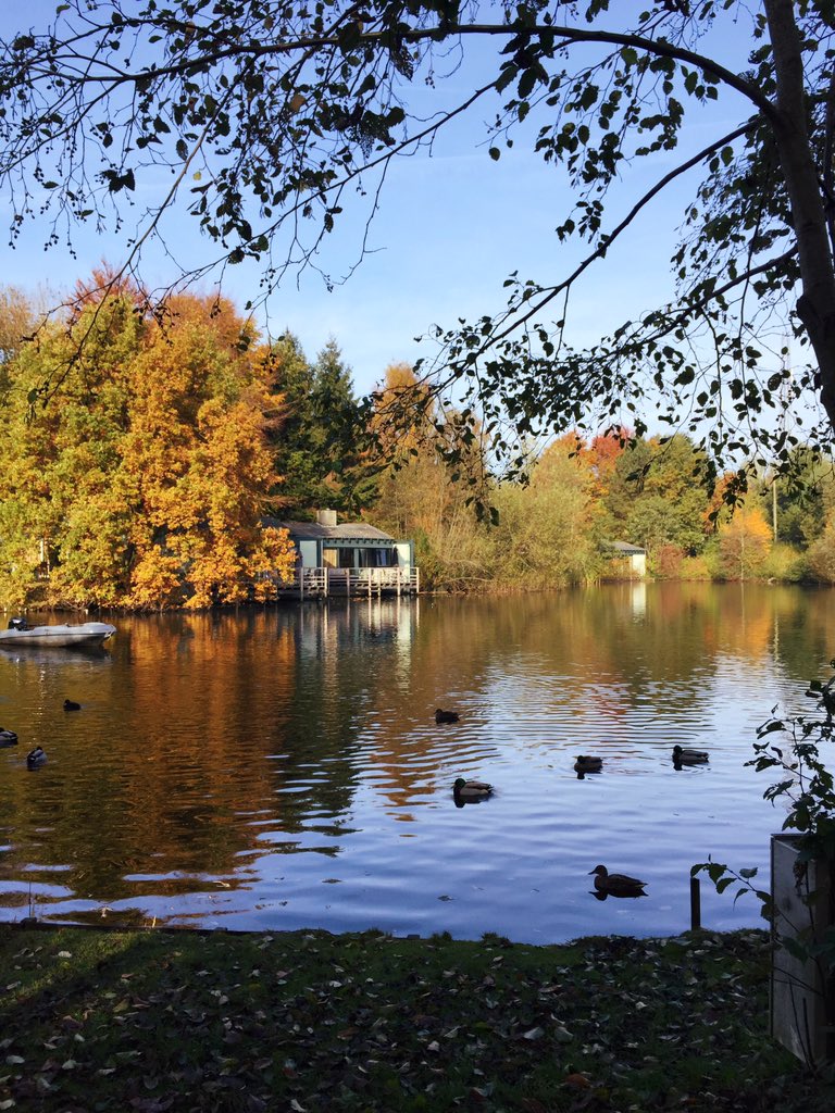 Serena Verbon tweet media