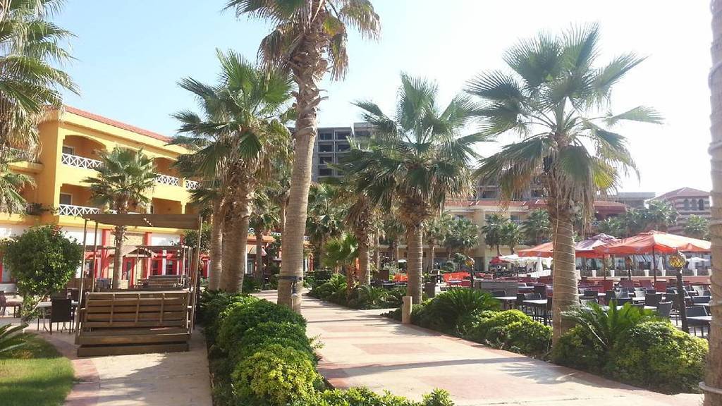 Yuri On Twitter Porto Tartous Syria Syriagram Instasyria