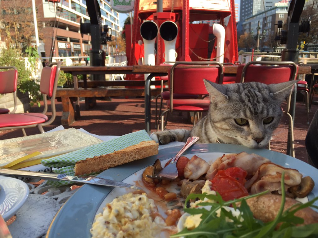 AniHaakien's tweet photo. Full English #breakfast at the cutest terrace in #Rotterdam V11 #lightboat #mustdo https://t.co/CKiKFrUyNz