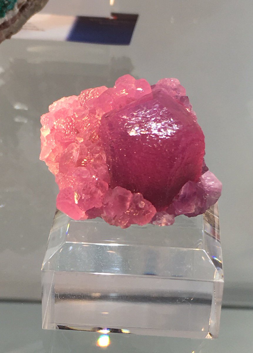 Gorgeous pink cobaltoan calcite with large ~3cm crystal from Bou Azzer, Morocco - Marcus Budil booth