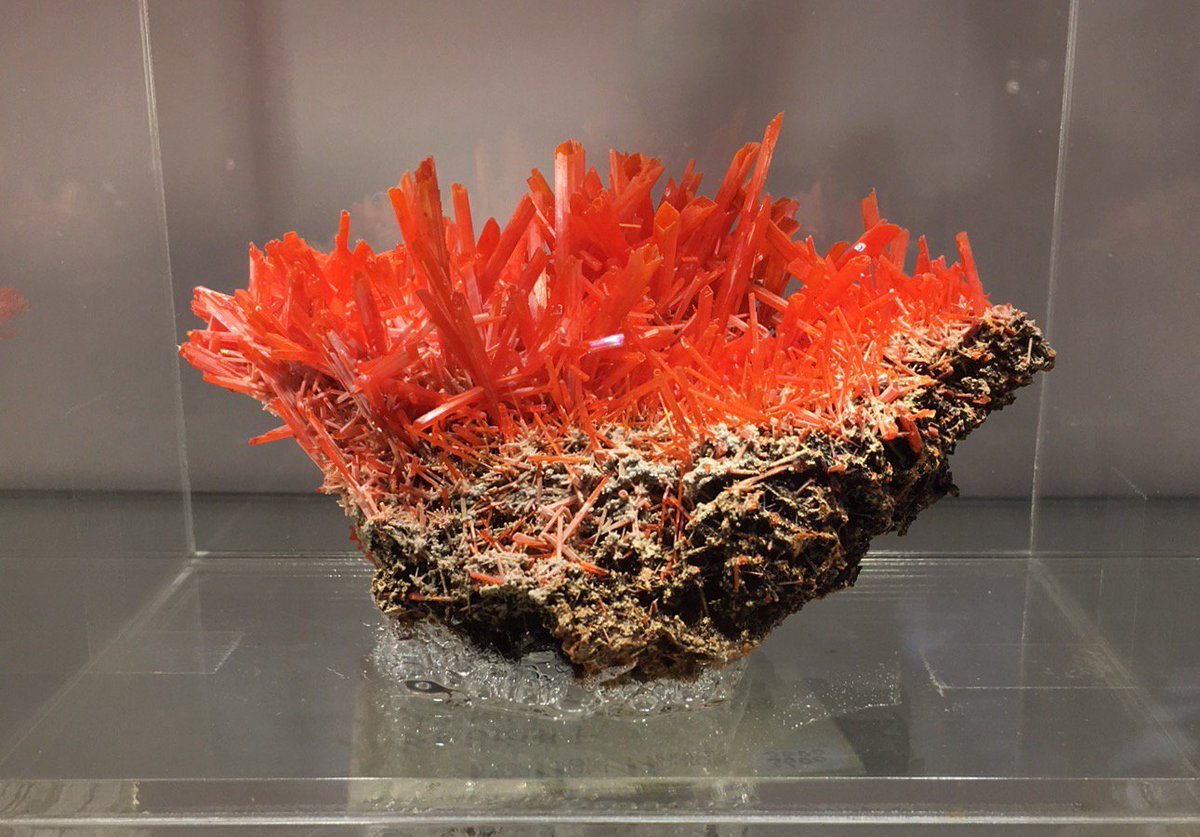 Acicular Crocoite from Adelaide Mine, Tasmania - Anton Watzl Minerals booth