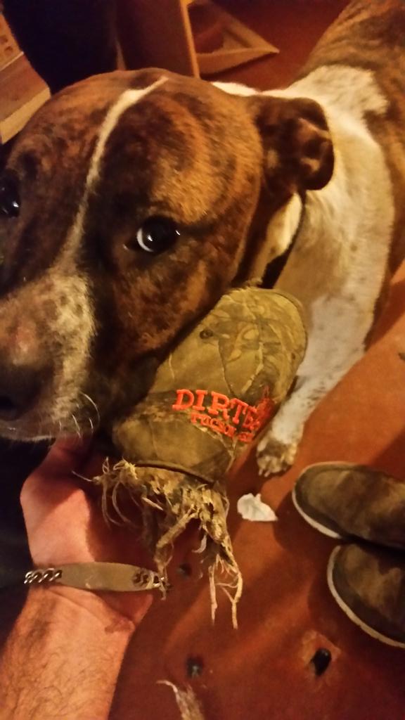 I ate my friend's Dirtbag's hat. I'm soooo sorry. #apartofgrowingup