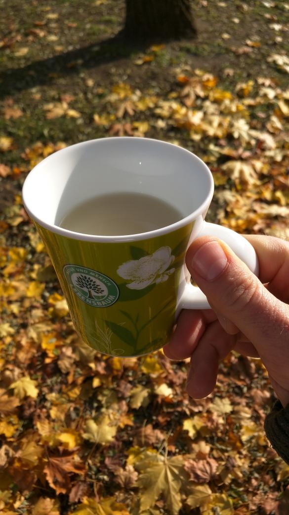 jamesloell's tweet photo. Danke Lebensbaum. Genieße eine Tasse Tee in der Herbstsonne.  #c2ck15 https://t.co/oScHCv9VSj