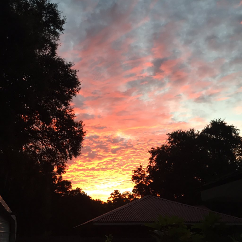 Liz McKay Rigg tweet media